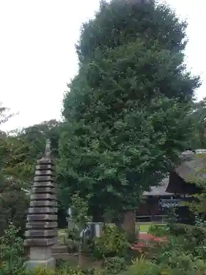 横浜 西方寺の塔