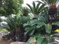 龍田神社の自然