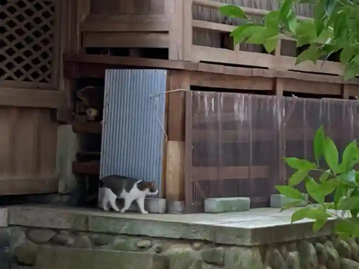 雀神社の動物