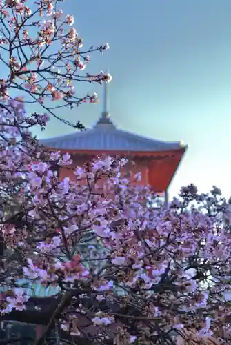 西新井大師総持寺の自然