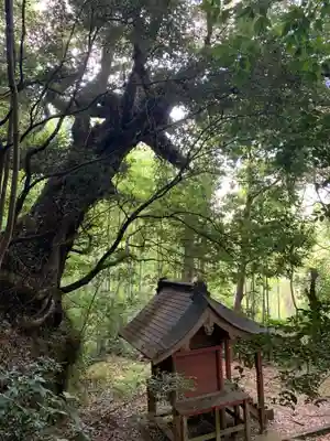 鹿島神社(千葉県)