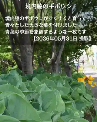宝光寺(北海道)