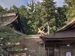 小國神社の本殿