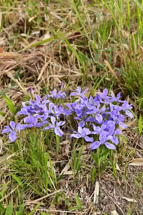 鎌大師堂(愛媛県)