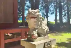 八雲神社の狛犬