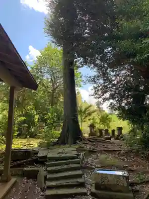 素羽鷹神社(千葉県)