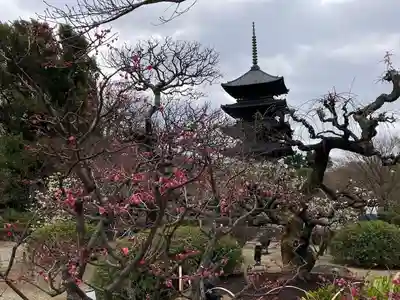 東寺（教王護国寺）(京都府)