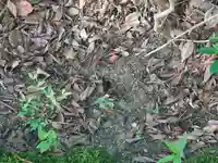 速谷神社(広島県)