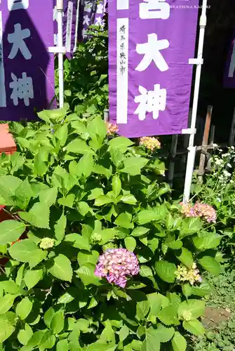 江島神社(神奈川県)