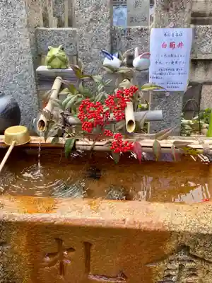 金札宮の手水舎