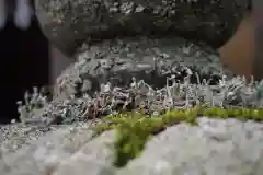 三峯神社の自然