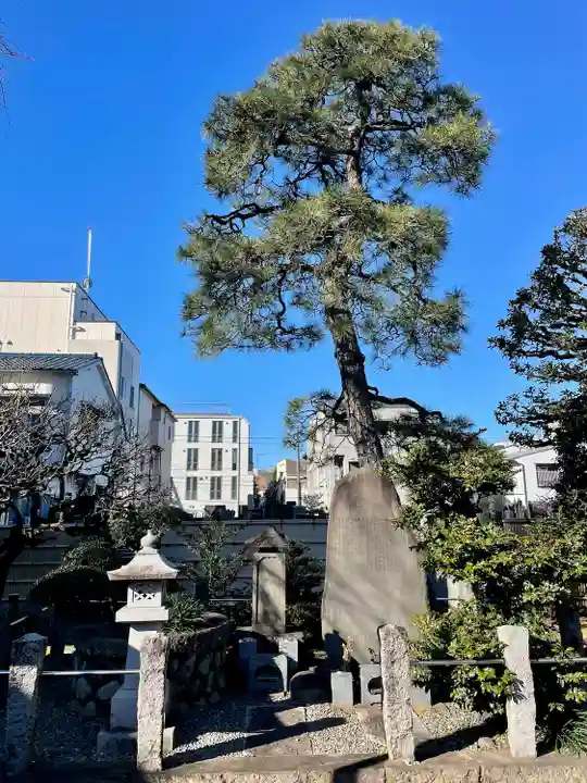 眞福寺(東京都)