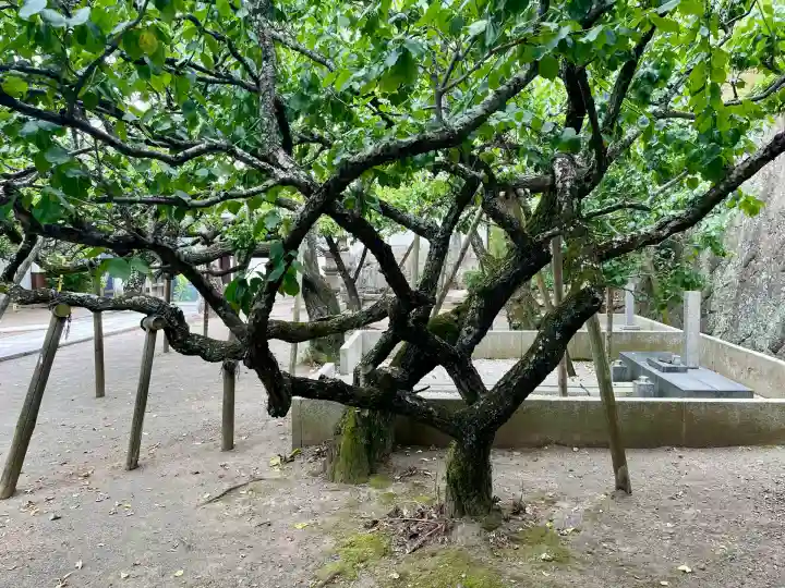 地福寺(神奈川県)