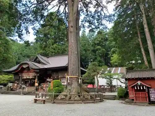 北口本宮冨士浅間神社の自然