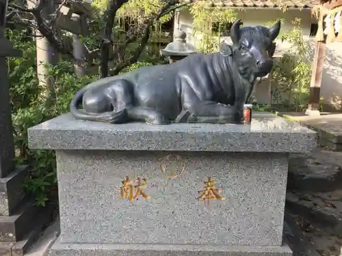 唐津神社の狛犬