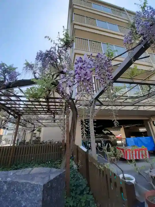 藤之宮 春日神社(野田の藤跡)の{uncategorized: "未分類", other: "その他", undefined: "問題あり", building: "その他建物", grave: "お墓", sacred_gate: "鳥居", guardian: "狛犬", statue: "像", buddha: "仏像", history: "歴史", nature: "自然", garden: "庭園", animal: "動物", pagoda: "塔", temizu: "手水舎", mountain_gate: "山門・神門", sanctuary: "本殿・本堂", subordinate: "末社・摂社", art: "芸術", scenery: "景色", jizo: "地蔵", ema: "絵馬", goshuin: "御朱印", omikuji: "おみくじ", items: "授与品その他", amulet: "お守り", goshuincho: "御朱印帳", eats: "食事", festival: "お祭り", votive_dance: "神楽", shichigosan: "七五三参", wedding: "結婚式", experience: "体験その他", initially: "初詣", around: "周辺", anti_infection: "感染症対策"}