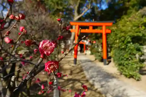 道明寺天満宮の自然