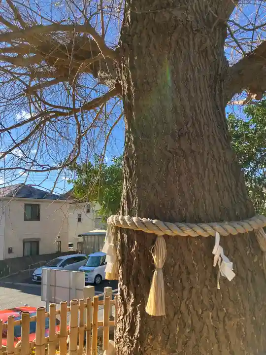 鹿嶋神社(茨城県)
