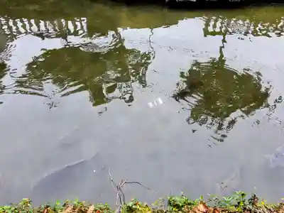 佐嘉神社・松原神社(佐賀県)