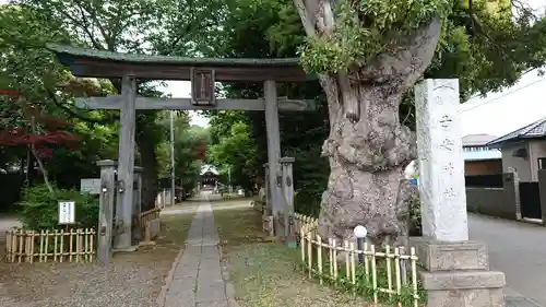 畑子安神社の鳥居