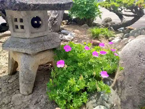 雨竜　専福寺の庭園