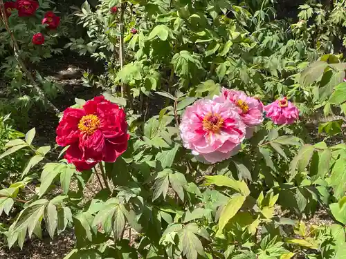 長谷寺(奈良県)