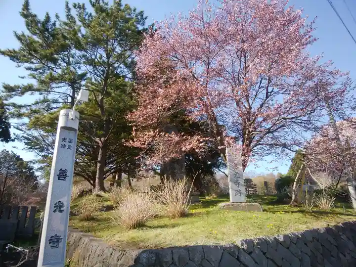 有珠善光寺の自然