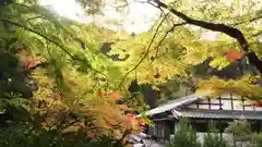 吟松寺の建物その他