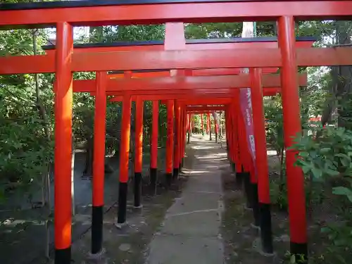 東伏見稲荷神社の鳥居