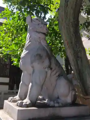 鳥越神社(東京都)