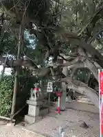 豊藤稲荷神社のその他建物
