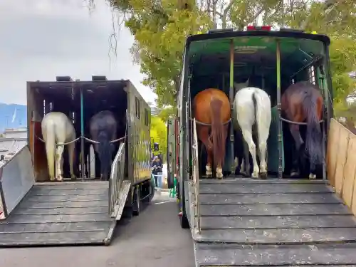 大神神社の{uncategorized: "未分類", other: "その他", undefined: "問題あり", building: "その他建物", grave: "お墓", sacred_gate: "鳥居", guardian: "狛犬", statue: "像", buddha: "仏像", history: "歴史", nature: "自然", garden: "庭園", animal: "動物", pagoda: "塔", temizu: "手水舎", mountain_gate: "山門・神門", sanctuary: "本殿・本堂", subordinate: "末社・摂社", art: "芸術", scenery: "景色", jizo: "地蔵", ema: "絵馬", goshuin: "御朱印", omikuji: "おみくじ", items: "授与品その他", amulet: "お守り", goshuincho: "御朱印帳", eats: "食事", festival: "お祭り", votive_dance: "神楽", shichigosan: "七五三参", wedding: "結婚式", experience: "体験その他", initially: "初詣", around: "周辺", anti_infection: "感染症対策"}