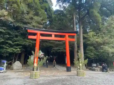 霧島神宮(鹿児島県)
