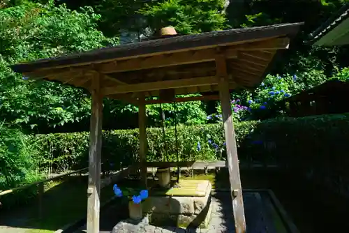 明月院(神奈川県)