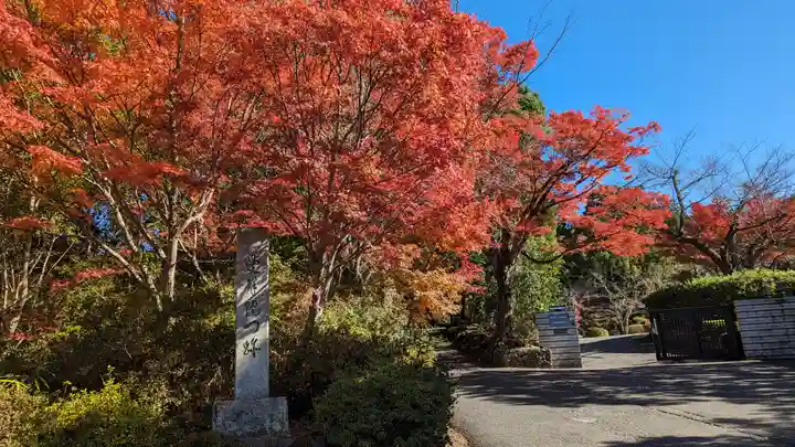 曼殊院門跡(京都府)