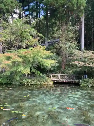 根道神社の庭園