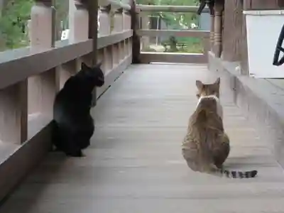 智恩寺(京都府)