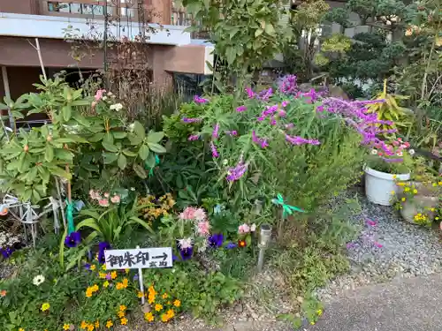 泉竜寺(乙女不動尊)の庭園