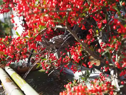 今市報徳二宮神社の手水舎
