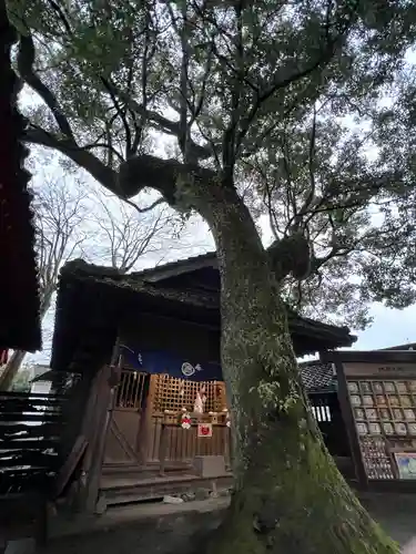 青井阿蘇神社(熊本県)