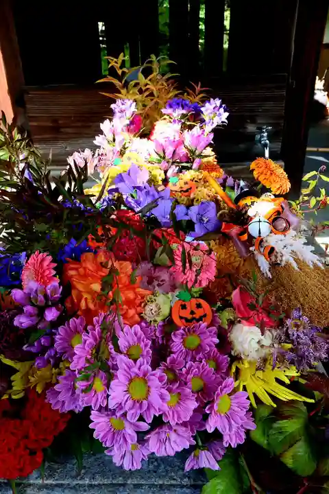 勝林寺(京都府)