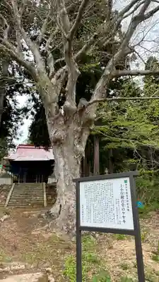 金松寺(山形県)