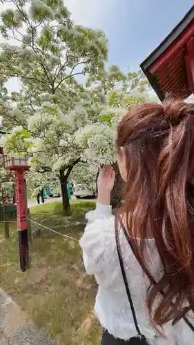 岡湊神社(福岡県)