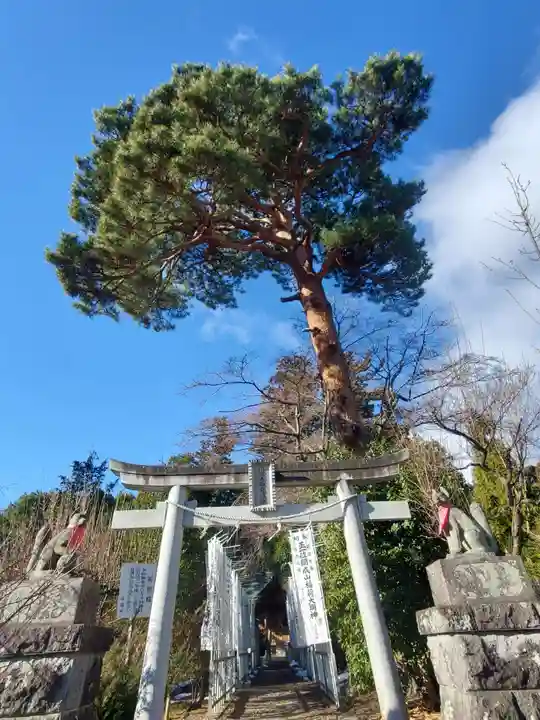 開成山大神宮(福島県)