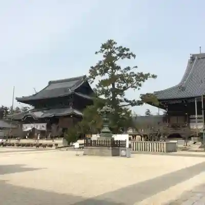 本山専修寺の{uncategorized: "未分類", other: "その他", undefined: "問題あり", building: "その他建物", grave: "お墓", sacred_gate: "鳥居", guardian: "狛犬", statue: "像", buddha: "仏像", history: "歴史", nature: "自然", garden: "庭園", animal: "動物", pagoda: "塔", temizu: "手水舎", mountain_gate: "山門・神門", sanctuary: "本殿・本堂", subordinate: "末社・摂社", art: "芸術", scenery: "景色", jizo: "地蔵", ema: "絵馬", goshuin: "御朱印", omikuji: "おみくじ", items: "授与品その他", amulet: "お守り", goshuincho: "御朱印帳", eats: "食事", festival: "お祭り", votive_dance: "神楽", shichigosan: "七五三参", wedding: "結婚式", experience: "体験その他", initially: "初詣", around: "周辺", anti_infection: "感染症対策"}