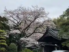 塩谷寺の建物その他