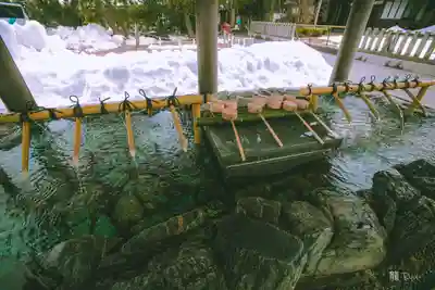 丹後一ノ宮 元伊勢 籠神社(京都府)