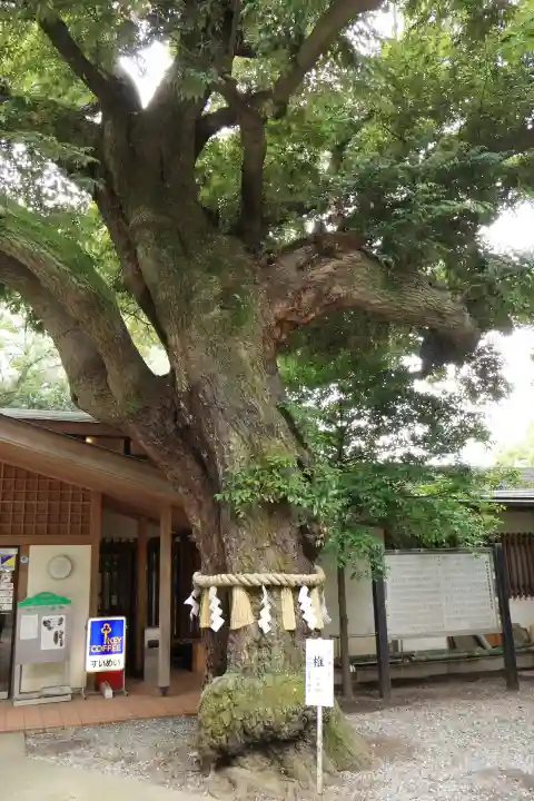 座間神社(神奈川県)