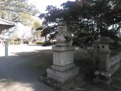 高家神社の狛犬