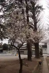 三芳野神社の自然